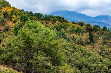 Ağaçlar ve dağlarla dolu sonbahar manzarası