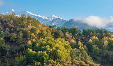 Ağaçlar ve dağlarla dolu sonbahar manzarası