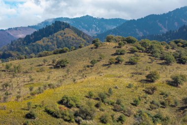 Ukrayna 'daki Karpat Dağlarının manzarası