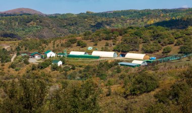 Doğanın güzel manzarası