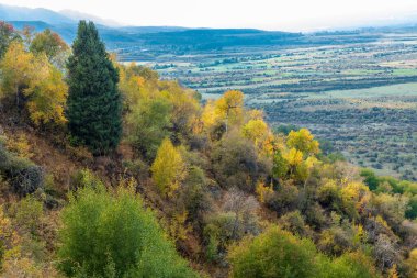 Kırım ormanındaki vadinin sonbahar manzarası.