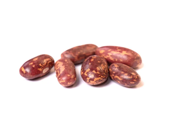 Pinto beans isolated on white background close-up — Stock Photo, Image