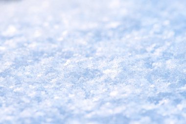 taze kar yakın çekim temizleyin. Makro kış resmi