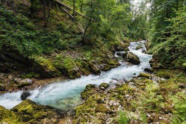 Vintgar gorge ve Nehri, Bled Gölü, Slovenya
