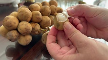 Langsat meyvesiyle elini soyan birinin yakın plan bir fotoğrafı. Langsat meyvesi olarak da bilinen ev yapımı Lancia meyvesi.