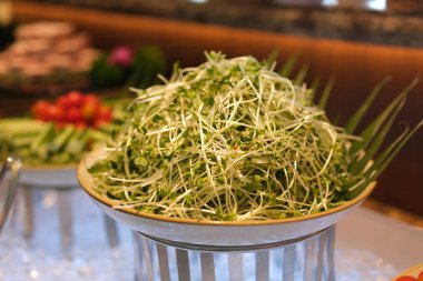 Beyaz arka planda bir kasede taze salata. Yakın plan taze organik yeşil salata ve kasede mikro yeşil salata. Sağlıklı yiyecekler. Yüksek kalite fotoğraf