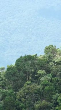 Da Nang, Vietnam Altın Köprüsü Elle Köprü ve DaNang Vietnam 'daki Ba Na Hills Güneş Dünyası' ndaki dağ manzaralı gözlemevi. Yüksek kalite fotoğraf