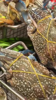 Açık büfedeki deniz ürünleri kovası. Çiğ yengeç karides dükkanı