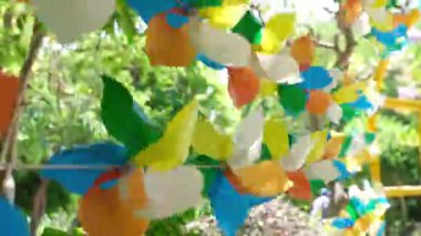 Balkon petunya çiçekleri arasında gökyüzü ve ormanın arka planına karşı gökkuşağı renklerinin fırıldağı. LGBT renk kavramı. Yüksek kalite 4k görüntü