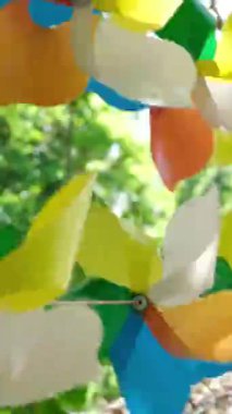 Balkon petunya çiçekleri arasında gökyüzü ve ormanın arka planına karşı gökkuşağı renklerinin fırıldağı. LGBT renk kavramı. Yüksek kalite 4k görüntü