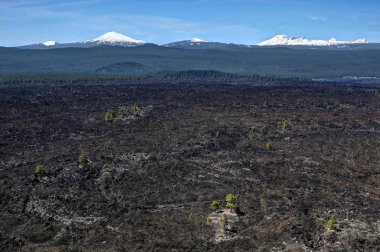 Volkan Erüpsiyonu sonra manzara. Volkanik alan lav Butte Bend ve Sunriver, Oregon tarafından. Newberry Ulusal volkanik Anıtı. Ağaçlar magma alanların Erüpsiyonu sonra büyür. Oregon. Amerika Birleşik Devletleri.