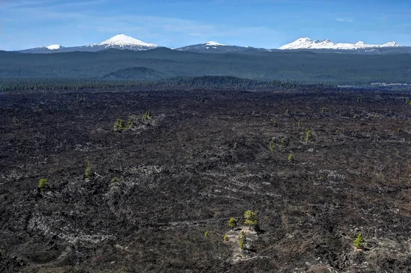 Volkan Erüpsiyonu sonra manzara. Volkanik alan lav Butte Bend ve Sunriver, Oregon tarafından. Newberry Ulusal volkanik Anıtı. Ağaçlar magma alanların Erüpsiyonu sonra büyür. Oregon. Amerika Birleşik Devletleri.