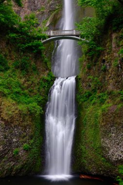 Şelaleler Multnomah Falls Oregon üzerinde köprü. Portland yakınındaki güzel şelaleler. ABD'de yıl boyunca en yüksek Şelalesi ikinci. Oregon. Amerika Birleşik Devletleri.