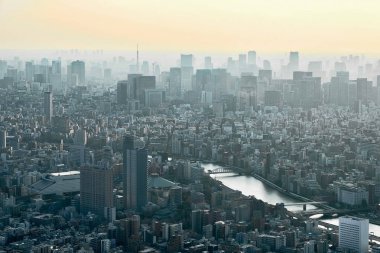 Tokyo Kulesi manzarası. Güzel kenti yukarıdan. Tokyo. Japonya.