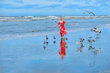 Beach tatil. Sahilde Deniz martılar ile çalışan kadın. Olimpiyat Yarımadası'nda Okyanusu kıyıları. Seattle. Washington. Amerika Birleşik Devletleri.