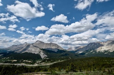 Kanada Rocky Dağları manzara. Alpine meadows, orman ve tepeler Columbia Icefields yakın. Banff Jasper National Park. Edmonton. Alberta. Kanada.