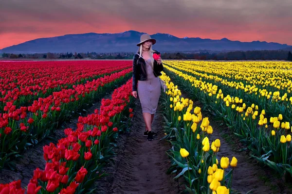 Junge Hübsche Frau Bunten Tulpenfeldern Bei Sonnenuntergang Rote Und Gelbe — Stockfoto