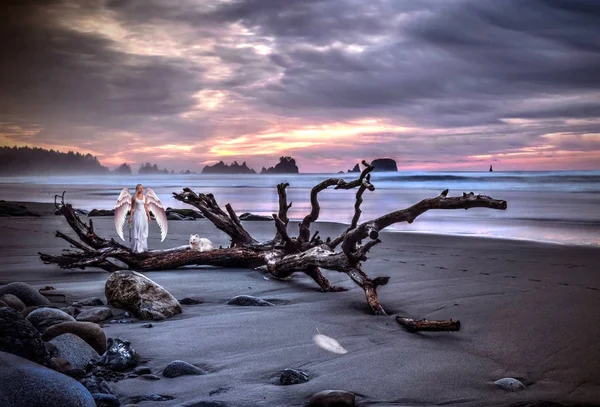 Angel with white wings on sandy beach with animal at sunset. Fantasy. Shi Shi beach. Port Angeles. Washington. United States of America