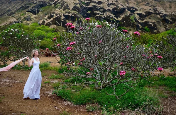 Woman on vacation looking at Plumeria tree with pink flowers. Koko Crater Botanical Garden near Honolulu. Oahu Island. Hawaii. USA