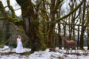 Kışın yağmur ormanlarında kadın ve geyik. Güzel ve Çirkin. 