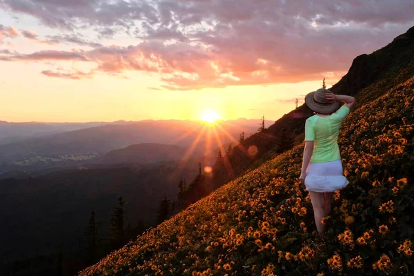 オレゴン州でのハイキング コロンビア川渓谷ドッグマウンテントレイルポートランド近くの春に咲く高山草原のアルニカ オレゴン アメリカ合衆国 — ストック写真