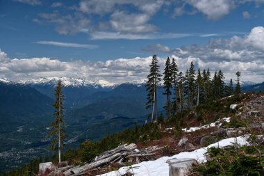 Squamish yakınında günlük alan. Ağaçlar ve vadi ve karla kaplı zirveler görünümü ile dağlarda kaydedilmiş ağaçlar. İngiliz Kolombiyası. Kanada