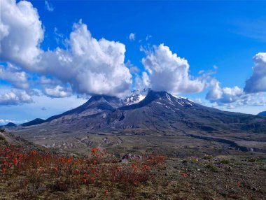 Krater, bulutlar ve yokuş üzerinde çiçekler kar ile volkan Görünümü. Güzel Mount Saint Helens yaz aylarında kırmızı çiçekler ve bulutlar ile. Cougar. Portalnd, ne kadar çok şey var? Washington. Amerika Birleşik Devletleri.