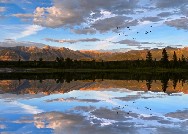 日落时分 成群的鸟儿飞过平静的河流 背景是落基山脉 不列颠哥伦比亚省的库特奈河 加拿大 — 图库照片