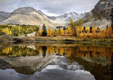 Sonbahar karaçam ağaçlarının yansımaları ile dağlarda Alp gölü. Kananaskis Kanada Rockies Sonbahar orman. Canmore. Alberta. Kanada.