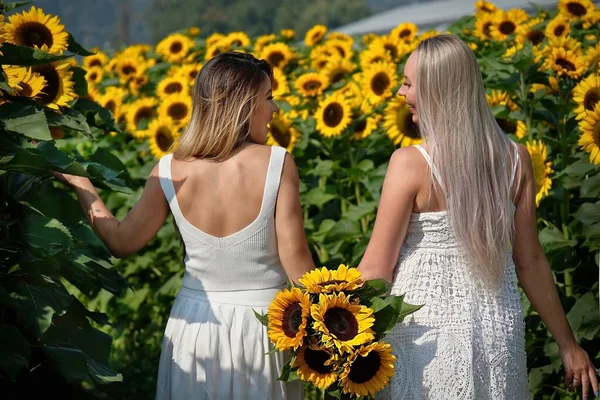 Rückenansicht Zweier Glücklicher Frauen Die Händchen Halten Und Auf Sonnenblumenfeldern — Stockfoto