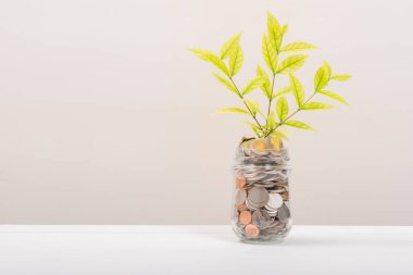 Kavanozda bir sürü para ya da cam şişe, içinde ağaç yaprağı var. İş Finans ve Para kavramı.