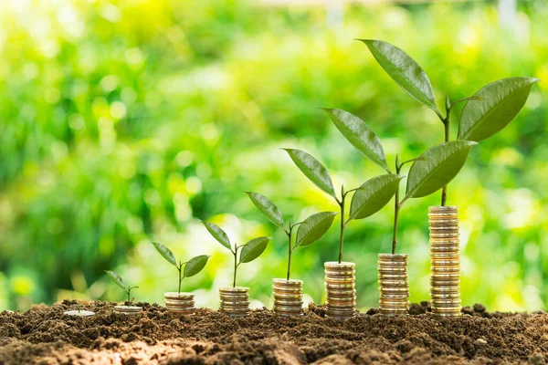 Para yetiştirme, bozuk para yetiştirme ya da bozuk para yetiştirme. Yatırım Konsepti veya iş konsepti.