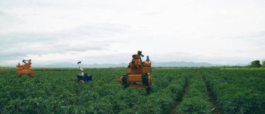 çok akıllı Tarım sanayi 4.0 konsept. Çiftçi robot nokta-sprey seçili ot türler için kullanın ve herbisit dirençli diğer otlar türler silmek için mekanik araçlarını kullanın