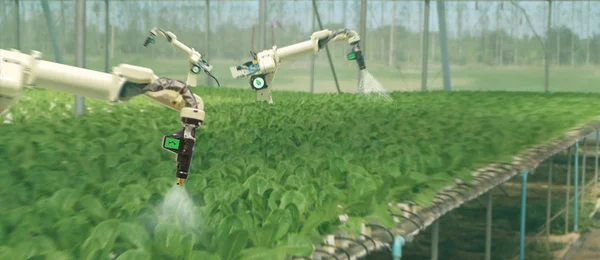 スマート農業ロボット未来のコンセプト 自動化 する必要があるようにプログラム ロボット スプレー化学 肥料や効率の向上に努めて 種の成長時間を短縮 — ストック写真