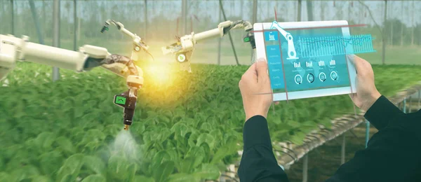 Iot 스마트 소프트웨어 기술을 상태를 모니터링 태블릿에 농부와 농장에서 — 스톡 사진