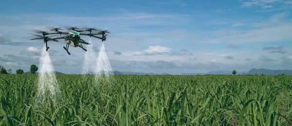 Iot Smart Agriculture Industry Concept Drone Precision Farm Use Spray — Stock Photo, Image