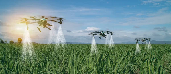 Iot Smart Agriculture Industry Concept Drone Precision Farm Use Spray — Stock Photo, Image