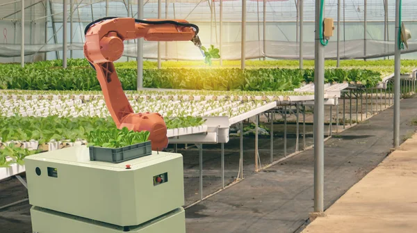 iot smart agriculture industry 4.0 concept. smart robotic in agriculture futuristic , robot farmers (automation) programmed to work in the indoor farm for increase efficiency growing a seed,harvesting