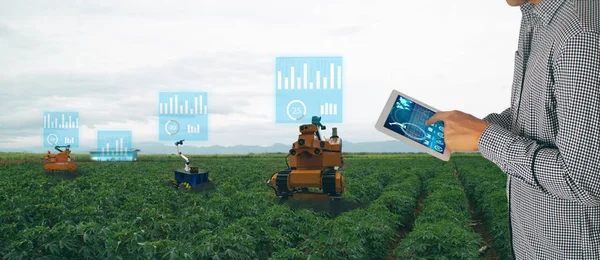 Iot 스마트 개념입니다 농부는 태블릿 스프레이 로봇을 기계적인 도구를 저항을 — 스톡 사진