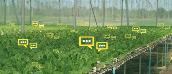 Dados Chat Bolhas Detectam Por Tecnologia Futurista Agricultura Inteligente Com — Fotografia de Stock