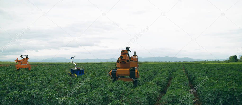 iot smart agriculture industry 4.0 concept. Farmer use  robot to spot-spray selected weed species and use mechanical tools to remove other weeds species that are herbicide resistant