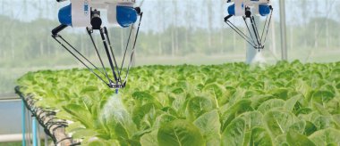 akıllı robot tarımda futuristik konsepti, çiftçiler (Otomasyon) sprey kimyasal, gübre veya artış verimlilik, iş için bir tohum, hasat, büyüyen programlanmış gerekir robot azaltmak zaman