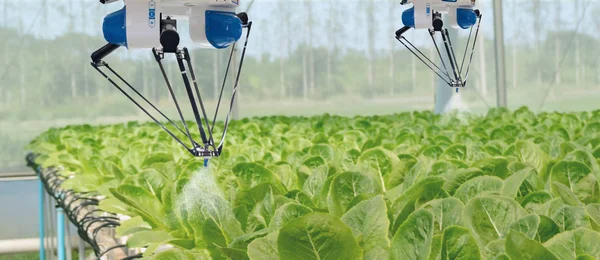 akıllı robot tarımda futuristik konsepti, çiftçiler (Otomasyon) sprey kimyasal, gübre veya artış verimlilik, iş için bir tohum, hasat, büyüyen programlanmış gerekir robot azaltmak zaman