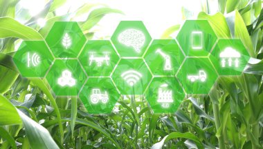 çok, şeylerin, tarım kavramı, akıllı robot Internet (yapay zeka / AI) yönetimi için koruma, kontrol ve tespit gruptaki sensörlü, alan.