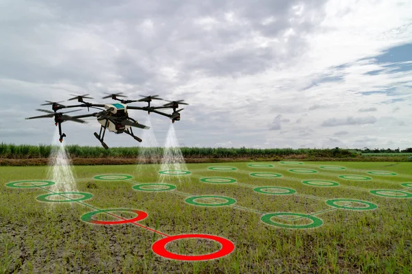 Iot Smart Agriculture Industry Concept Drone Precision Farm Use Spray — стоковое фото