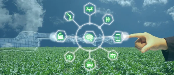 Iot Internet Das Coisas Conceito Agricultura Uso Robótico Inteligente Inteligência — Fotografia de Stock