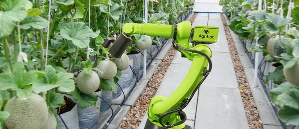 Robótico Inteligente Agricultura Conceito Futurista Agricultores Robôs Automação Devem Ser — Fotografia de Stock
