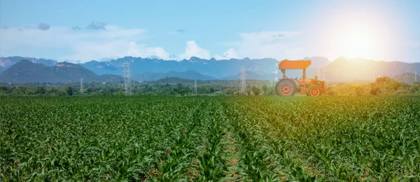 Slimme Landbouw Met Landbouw Industrie Concept Landbouwer Gebruiken Trekker Farm — Stockfoto