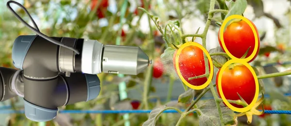 Robótica Inteligente Agricultura Conceito Futurista Agricultores Robôs Automação Devem Ser — Fotografia de Stock