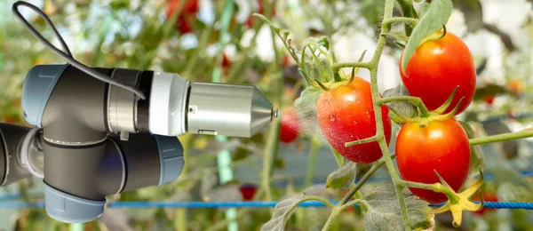 Robótica Inteligente Agricultura Conceito Futurista Agricultores Robôs Automação Devem Ser — Fotografia de Stock